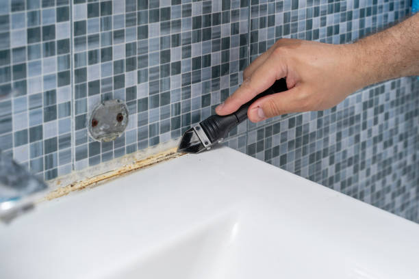 Home Mold Removal in Kaplan, LA