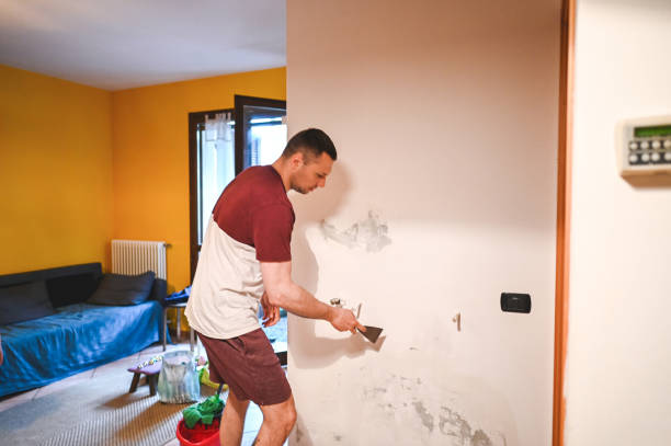 Best Mold Inspection  in Kapn, LA